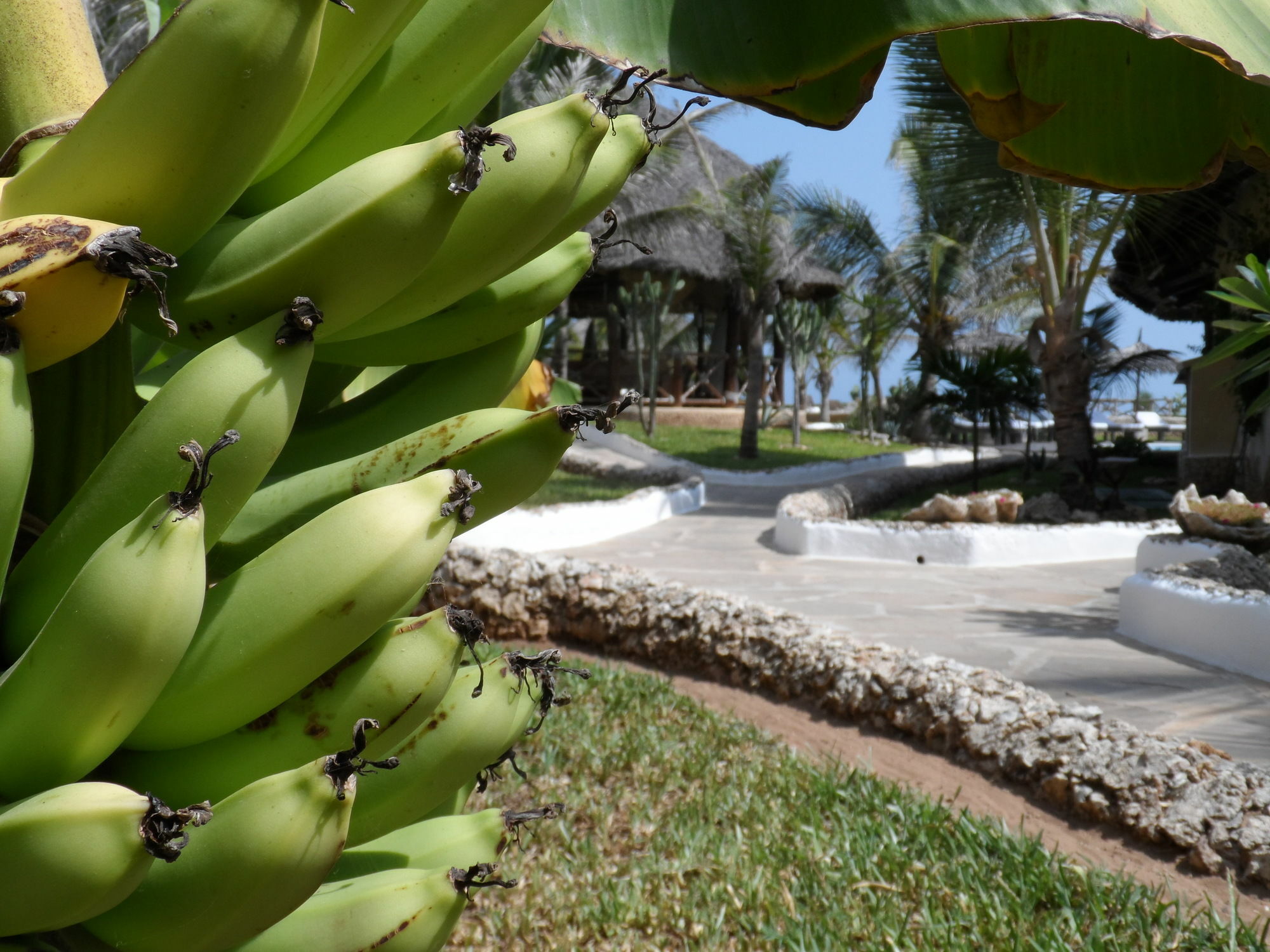 Mawe Resort Watamu Boutique Hotel Екстериор снимка